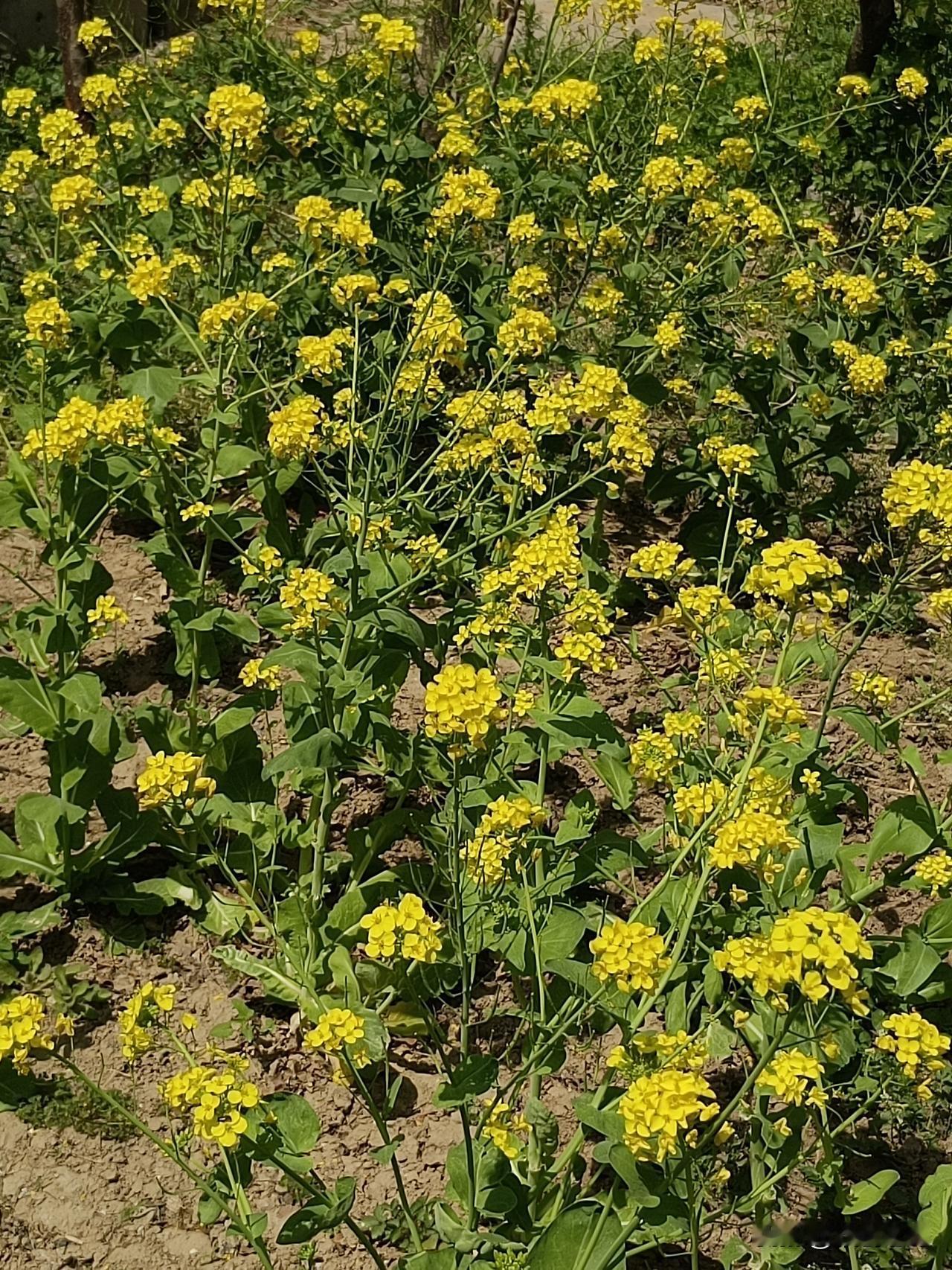 当代大概已经没有几个人再相信所谓“剩余价值”剥削论了。因为这种说法根本解释不了这