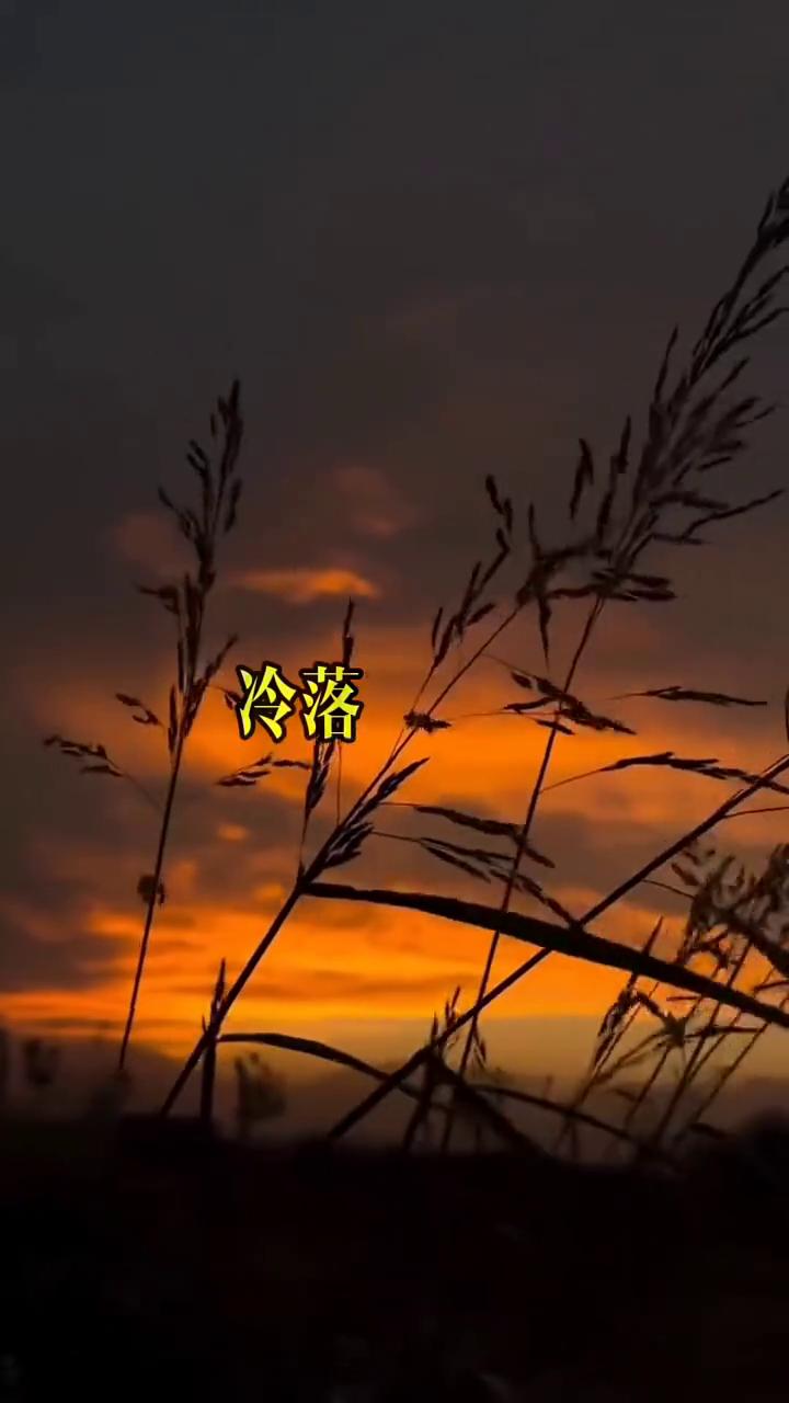 因果不空。
你看懂了因果就看淡了生死。你知不知道人为什么怕死？因为觉得死亡是不讲