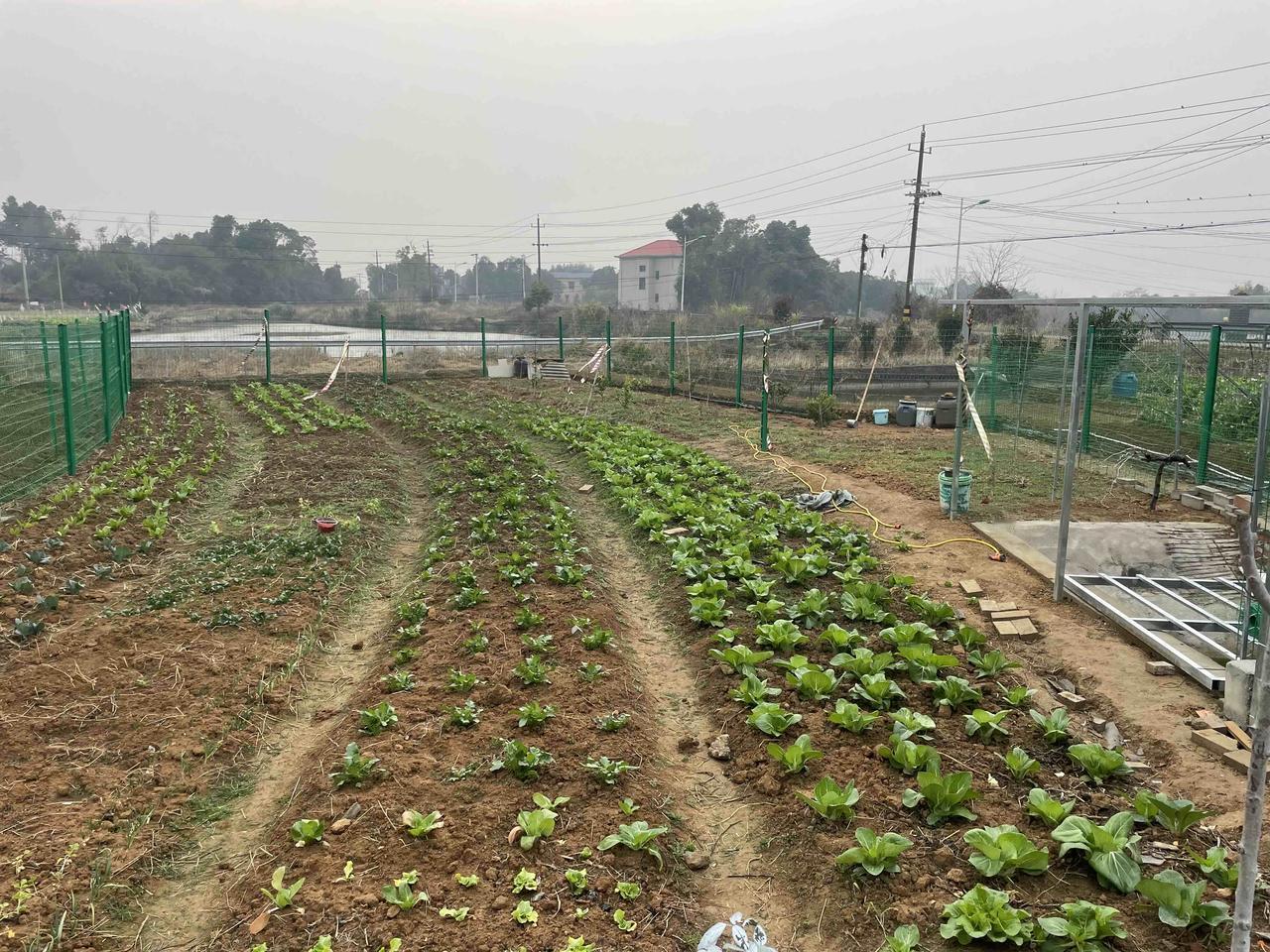 既锻炼的身体，又吃的健康，何乐不为呢？