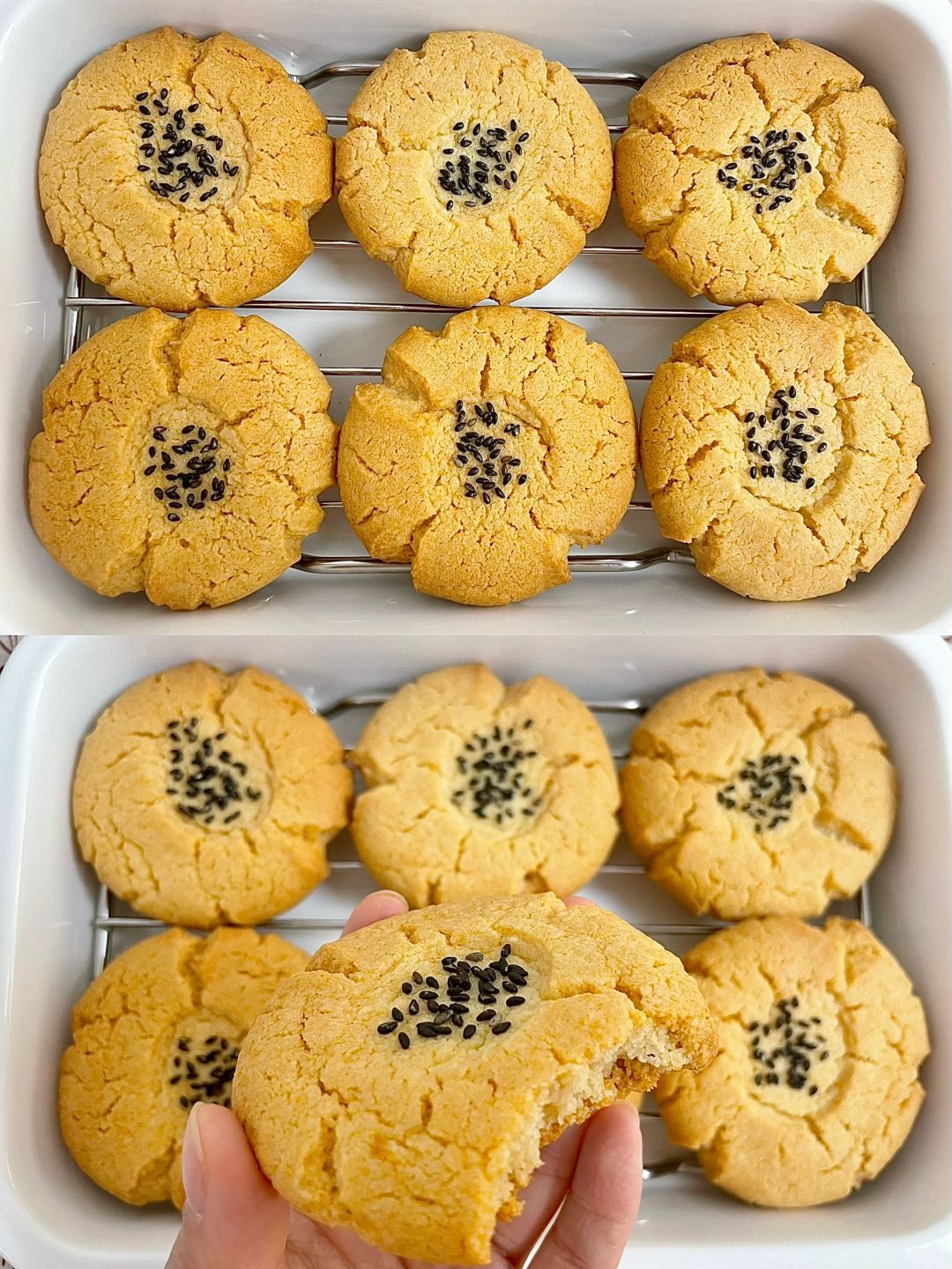 低糖版桃酥｜好吃❗️超级简单❗️零失败❗️