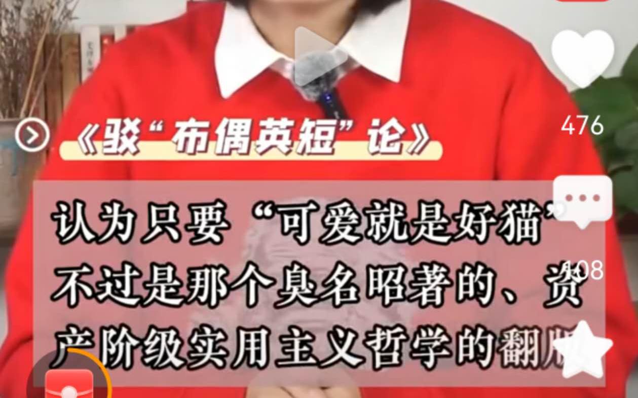 在AI上看到了一篇很有意思的文章，和大家分享，其意绵长。

《可爱好看就是好猫》