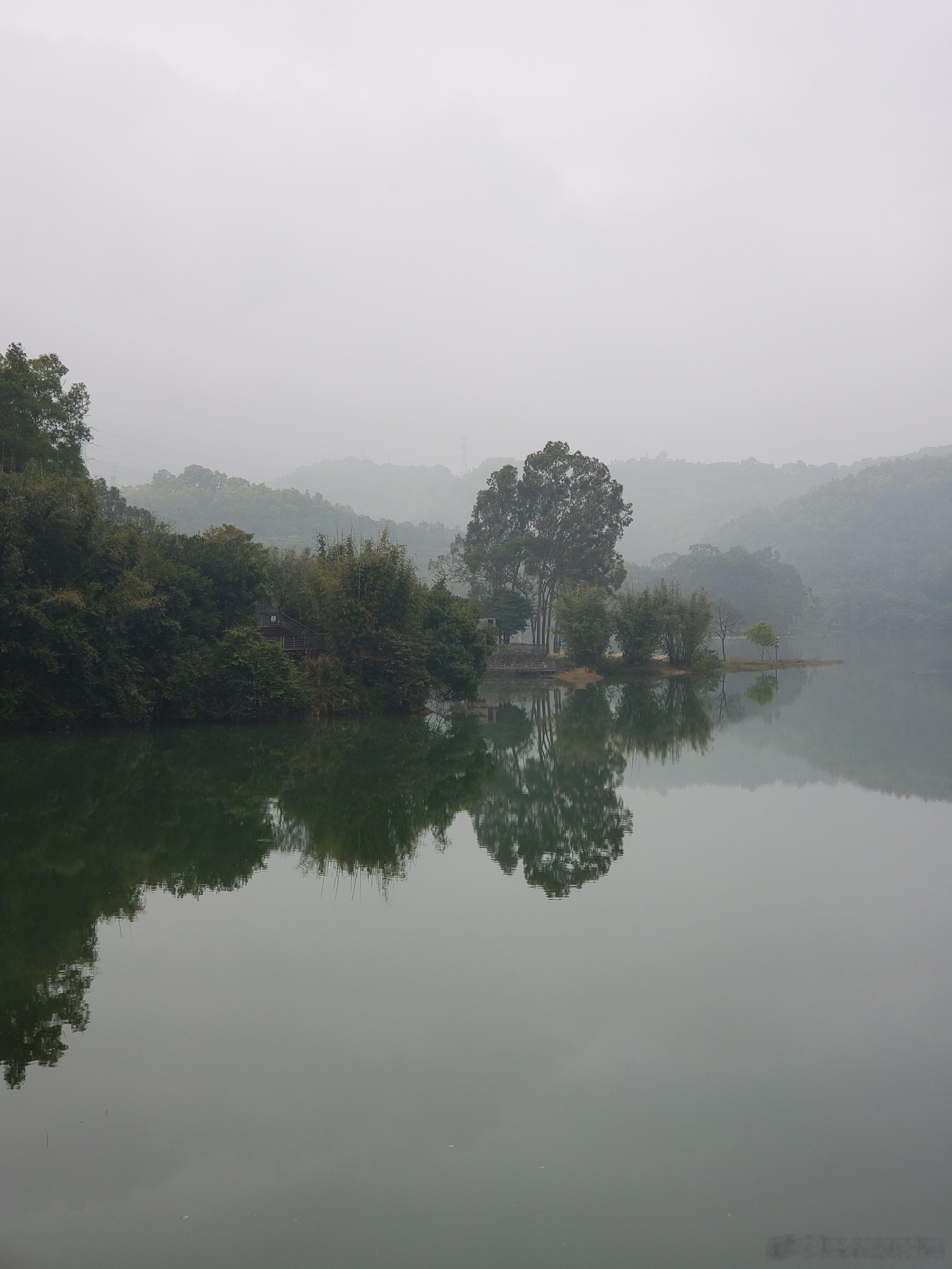 国家地理[超话]  金钟湖公园  雾中静谧的湖景 