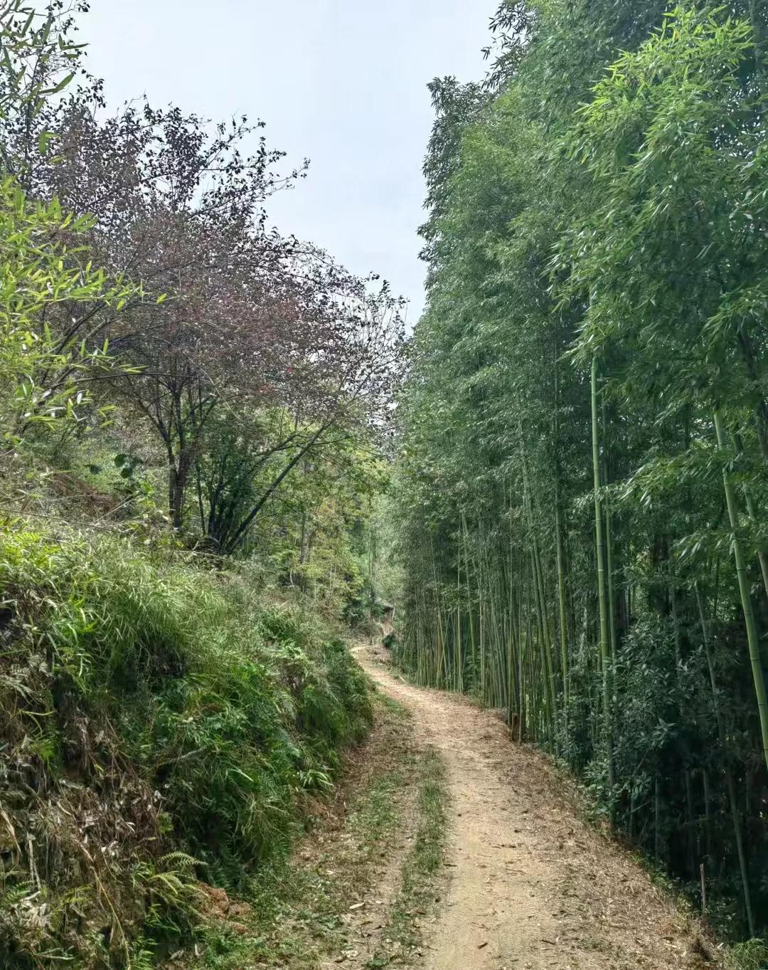 当年，农村那些爱偷果子的孩童们都去哪了？

村子里，各种果子都成熟了，桃子、李子