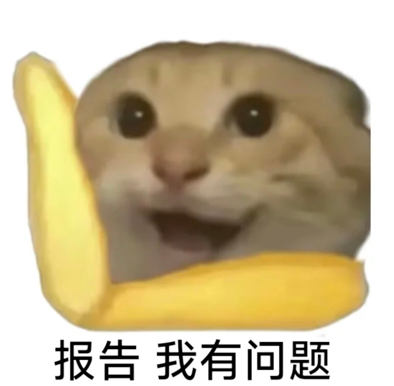 旺仔小乔道歉信不懂，她是算歌手？还是网红？拥有一定影响力的歌手、公众人物？谁下的