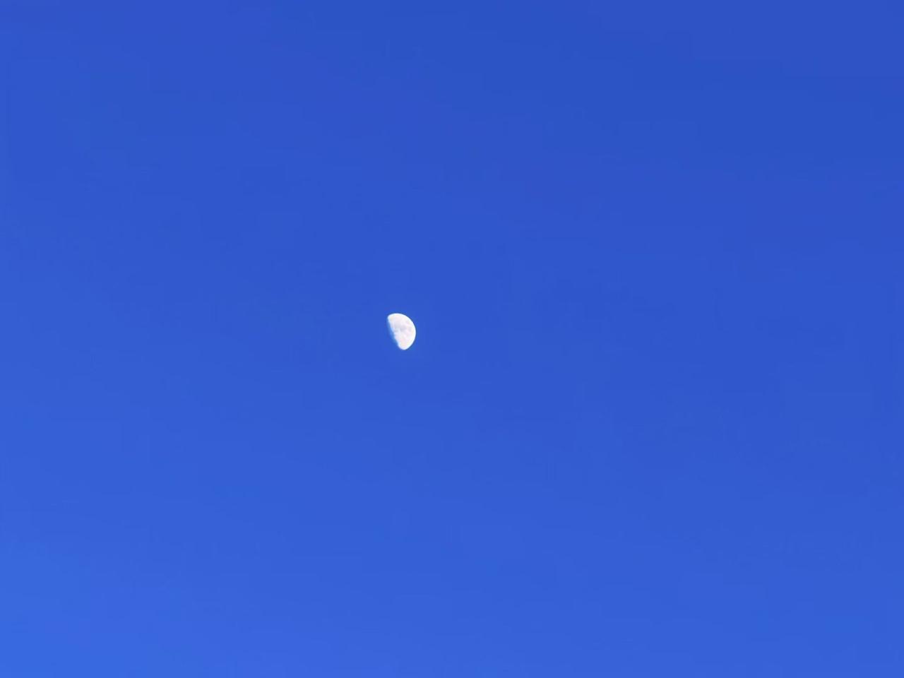 月亮
共赏美丽的大自然