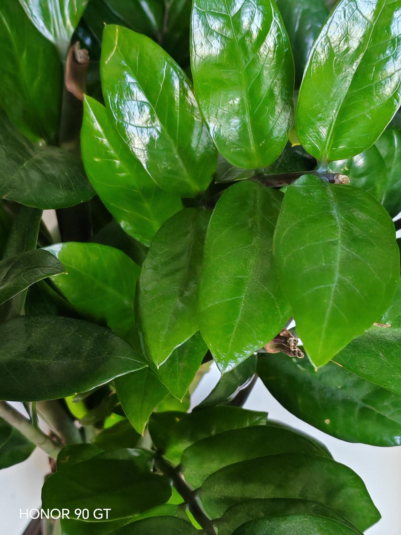 出去旅游，快乐每一天。