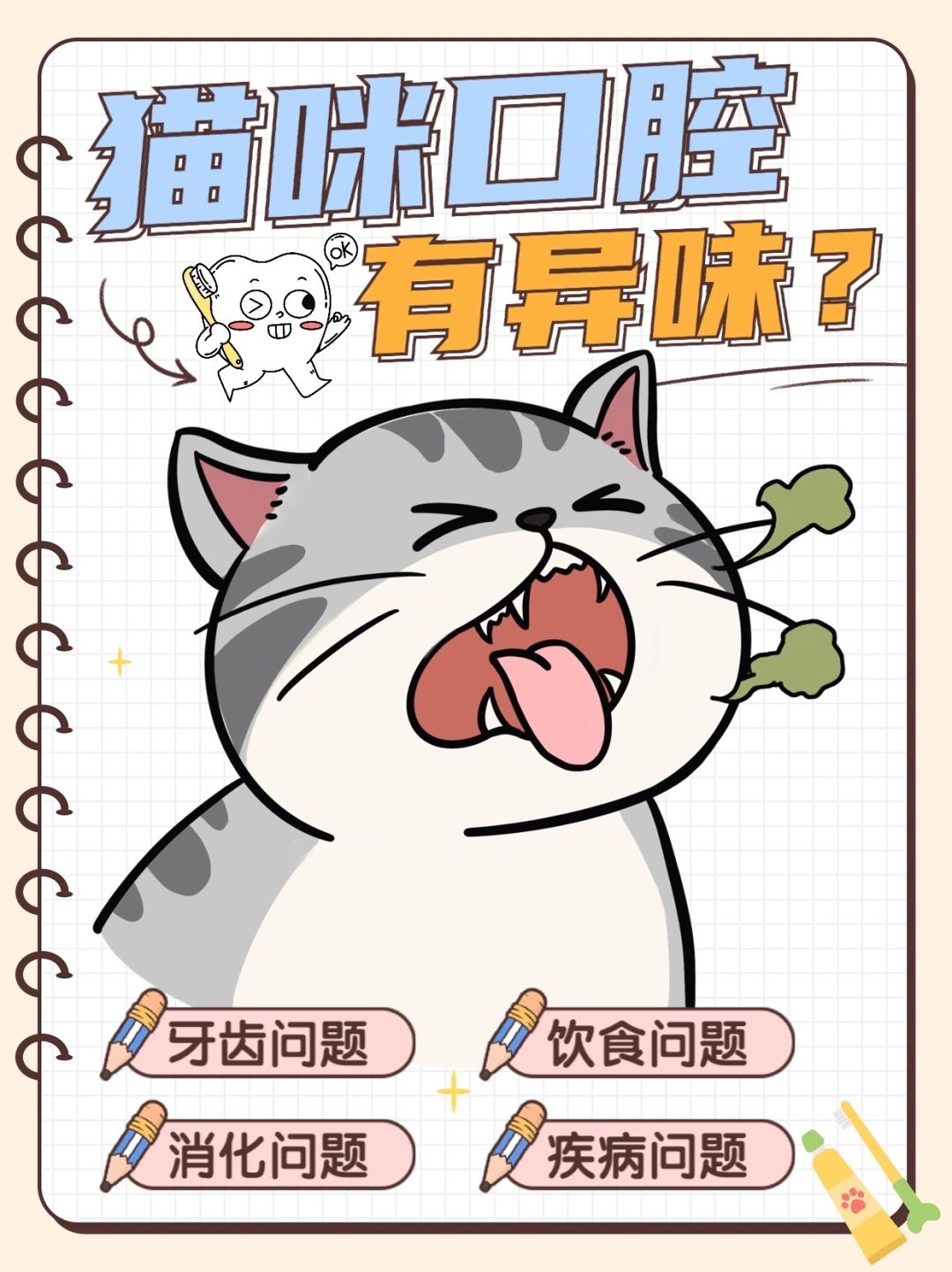 猫咪口腔异味怎么办？猫咪该刷牙啦！