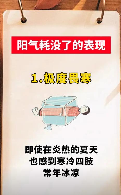 畏寒怕冷、精神不振？可能是阳气不足了