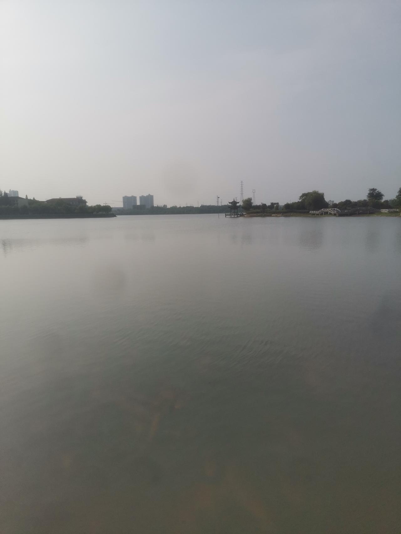 看看我们的城市美不美。2015年至2020年。
我在湖边的鲤鱼湖衅住了5年。
每