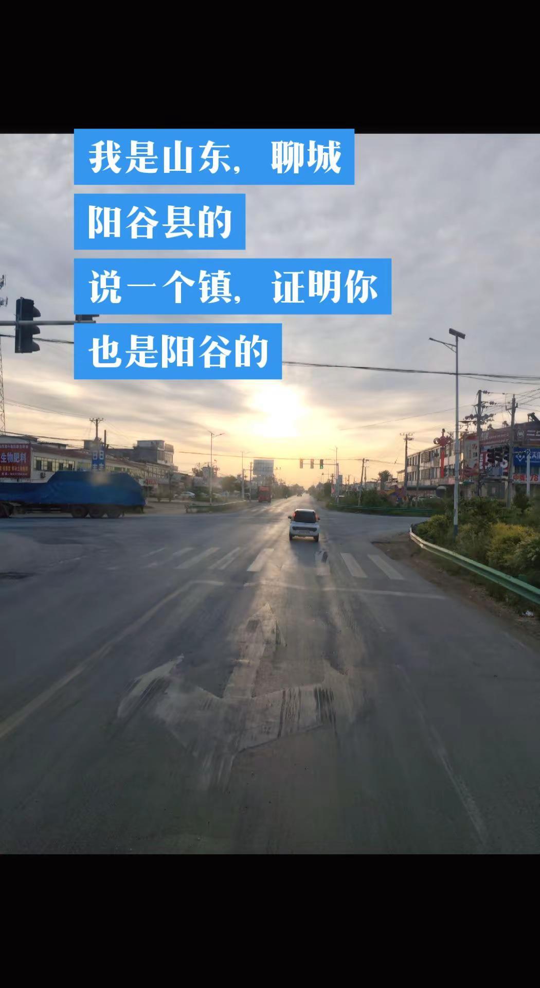说一个镇证明你也是阳谷人，你是哪个镇哪个村