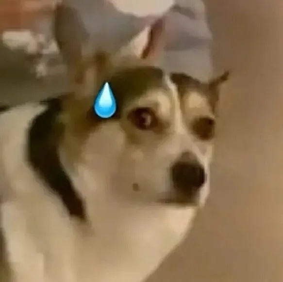 周边全部在下大暴雨，只有我们这一点都没下，昨天路过护城河，都能看到河床了干旱的?
