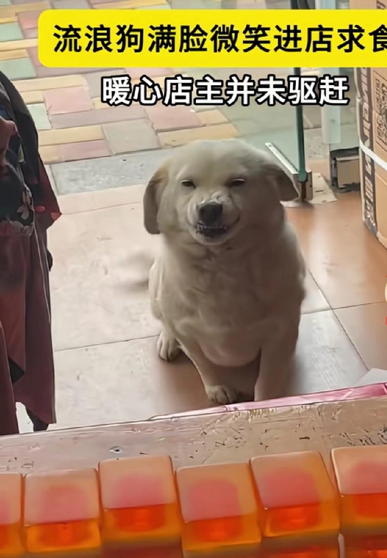 我会先严格保留你提供的原文作为开篇第一段，再结合老城区便民小店的真实经营场景，补