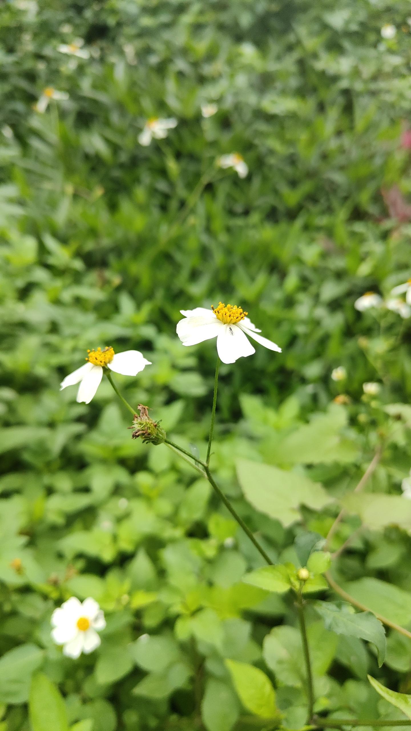 有些人背叛，是因为对自己的另一半不满意吗？ 很多人面对背叛，喜欢从自己...