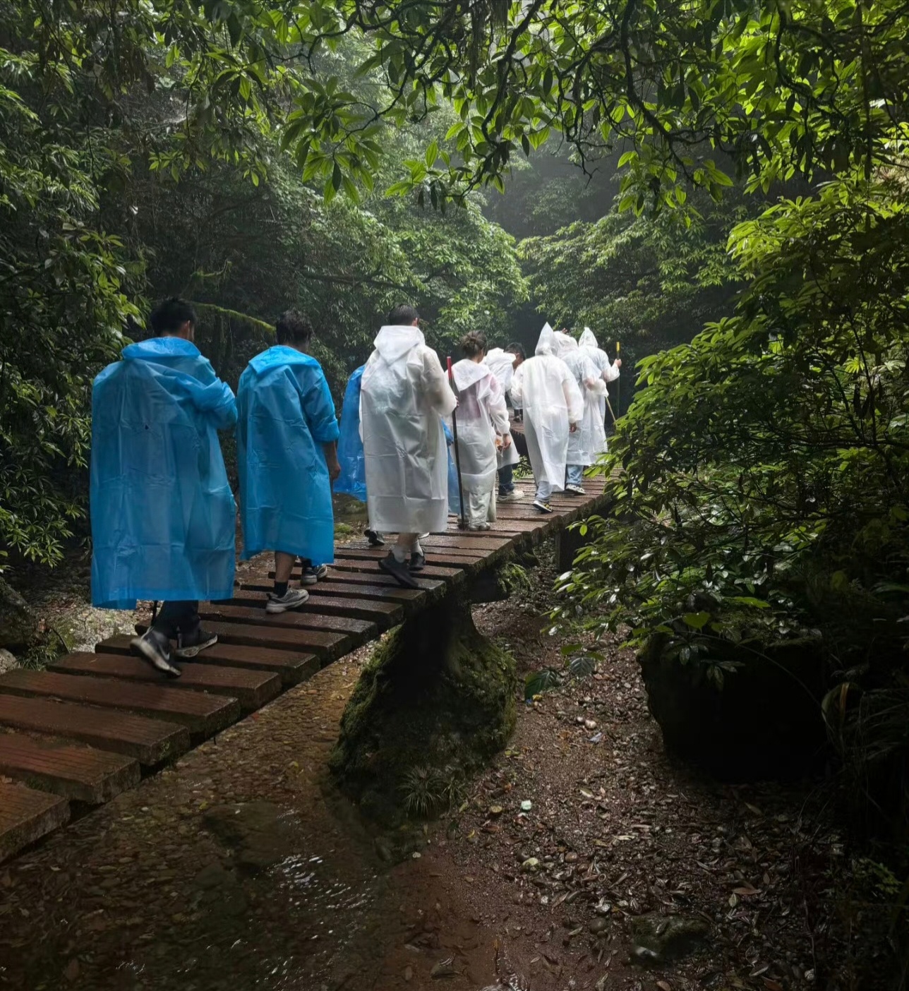 穿白雨衣爬山，起雾后人很容易跟环境融为一体，最恐怖的是再戴个帽子，雾里若隐若现，