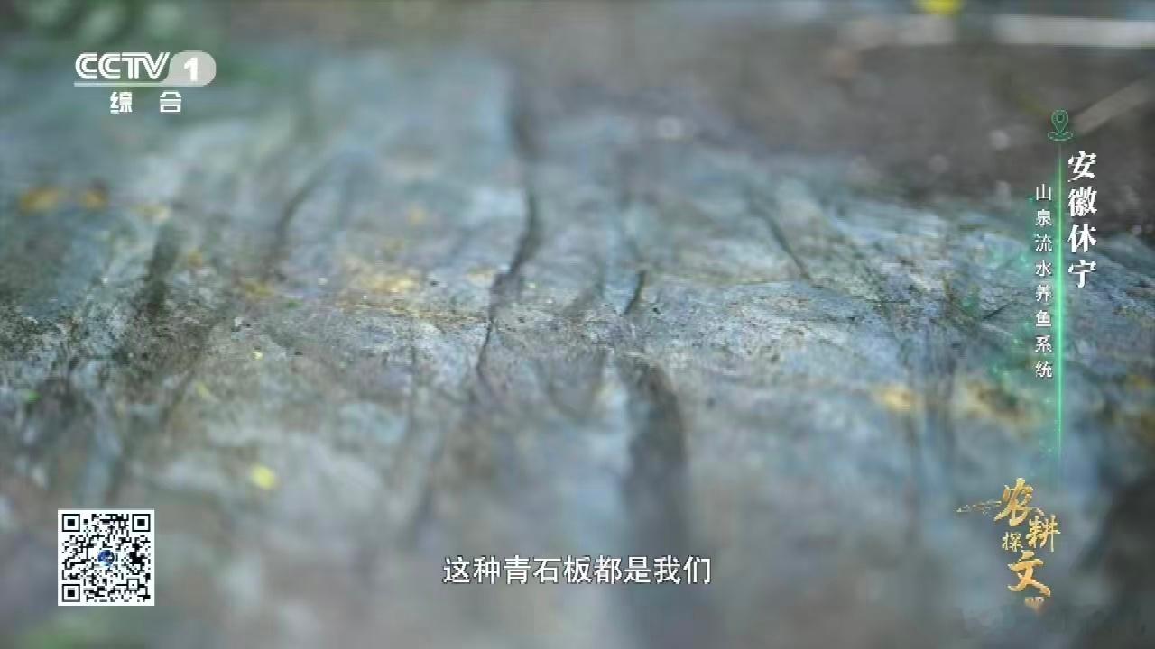 中国古人养鱼用流体力学 谁能想到古代养鱼竟有这么深的学问！休宁古鱼池靠同侧平行的