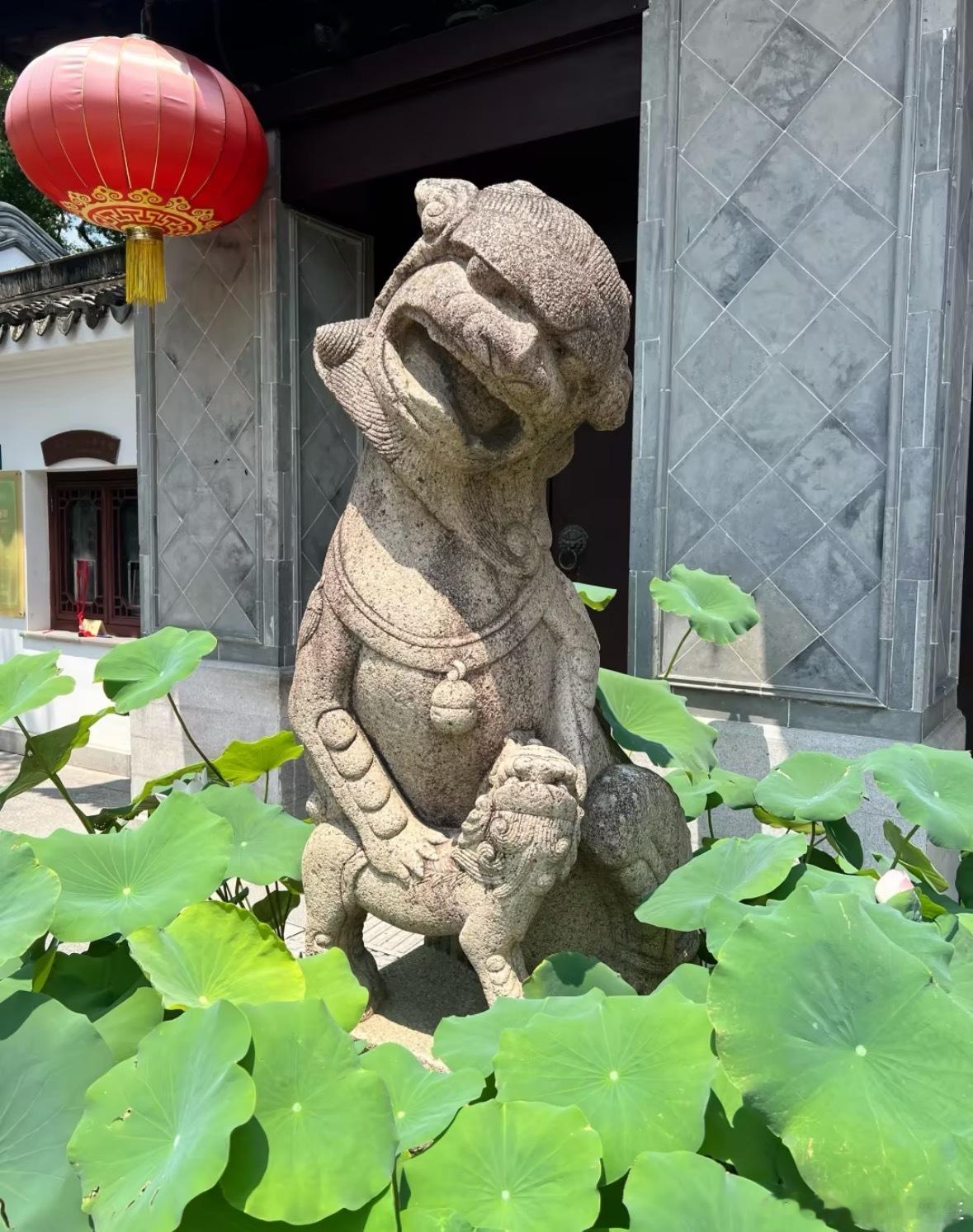丙申月（8.7-9.6）明火照金，万物见质。心中所择，终会在清醒的梦里化作前程。