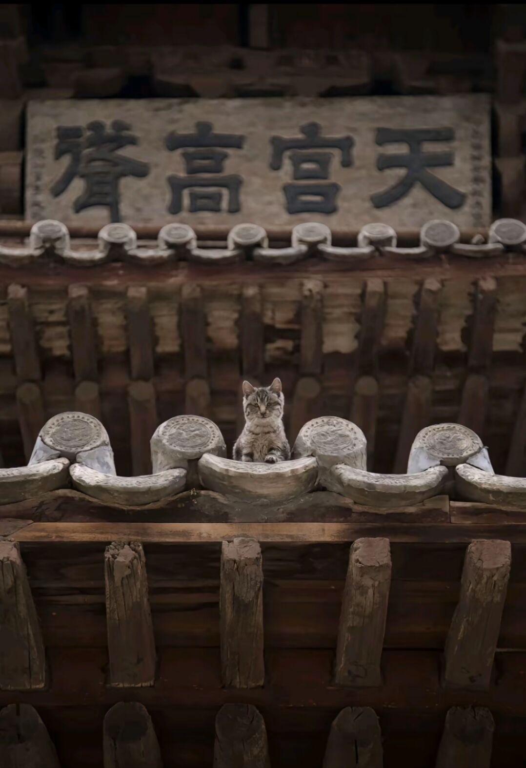 哀吾身之须臾，羡京畿之无穷。 