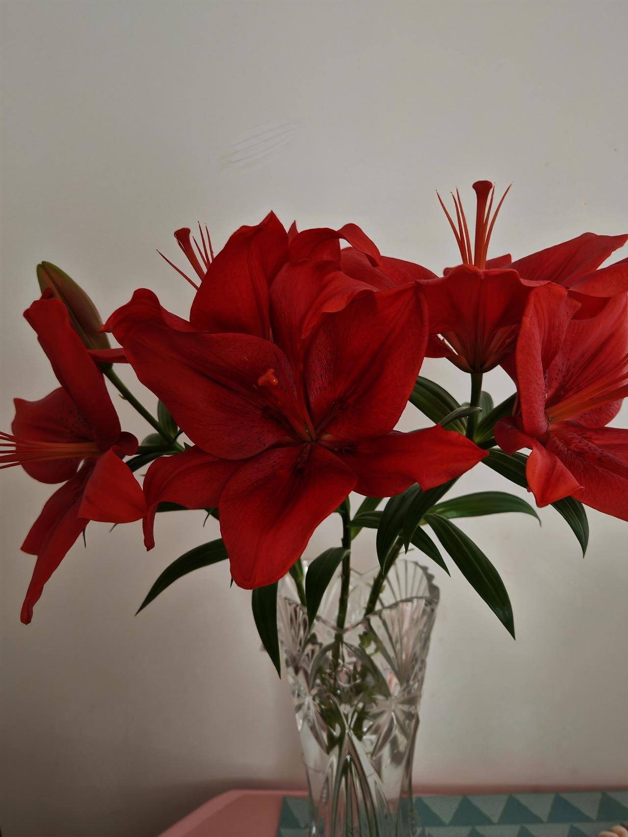 明日孩子即将重返校园，我心中颇为苦闷。正如他所述，不愿返校，我对工作亦无太大热情