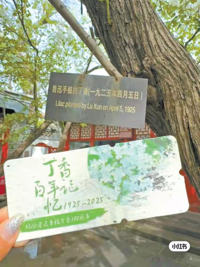 现在的年轻人热衷于在京城“访古寻迹”，这事儿挺有意思。北京那可是历史文化的大宝库