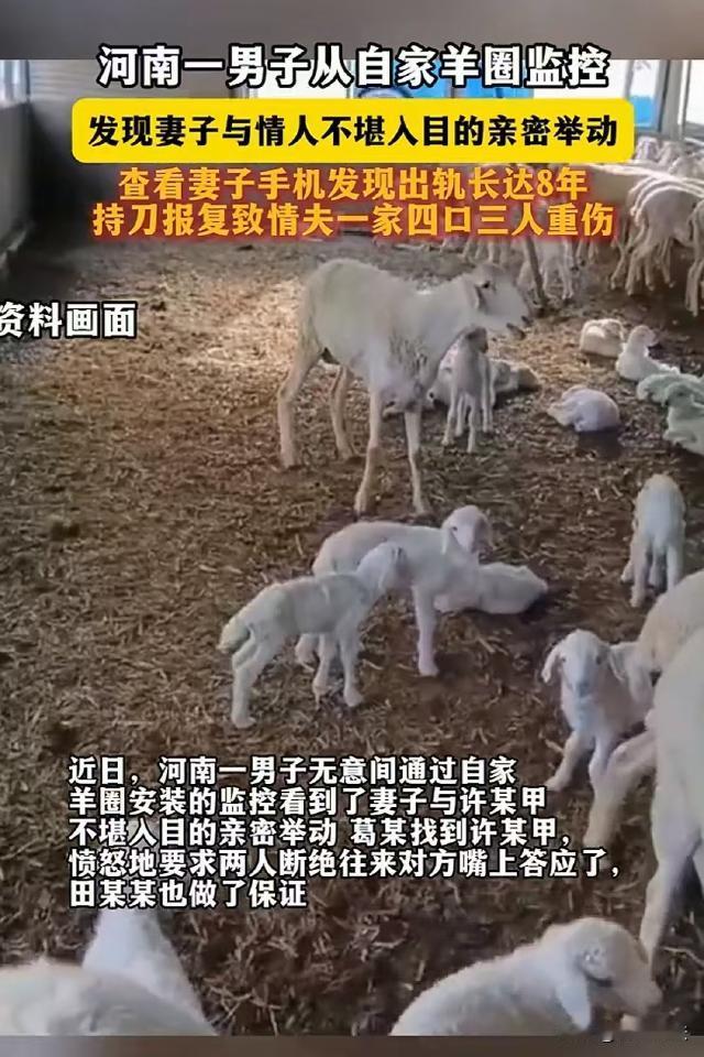 河南新乡，葛某查看羊圈监控，意外看到妻子和同村村民老许在亲热，这才发现妻子出轨竟