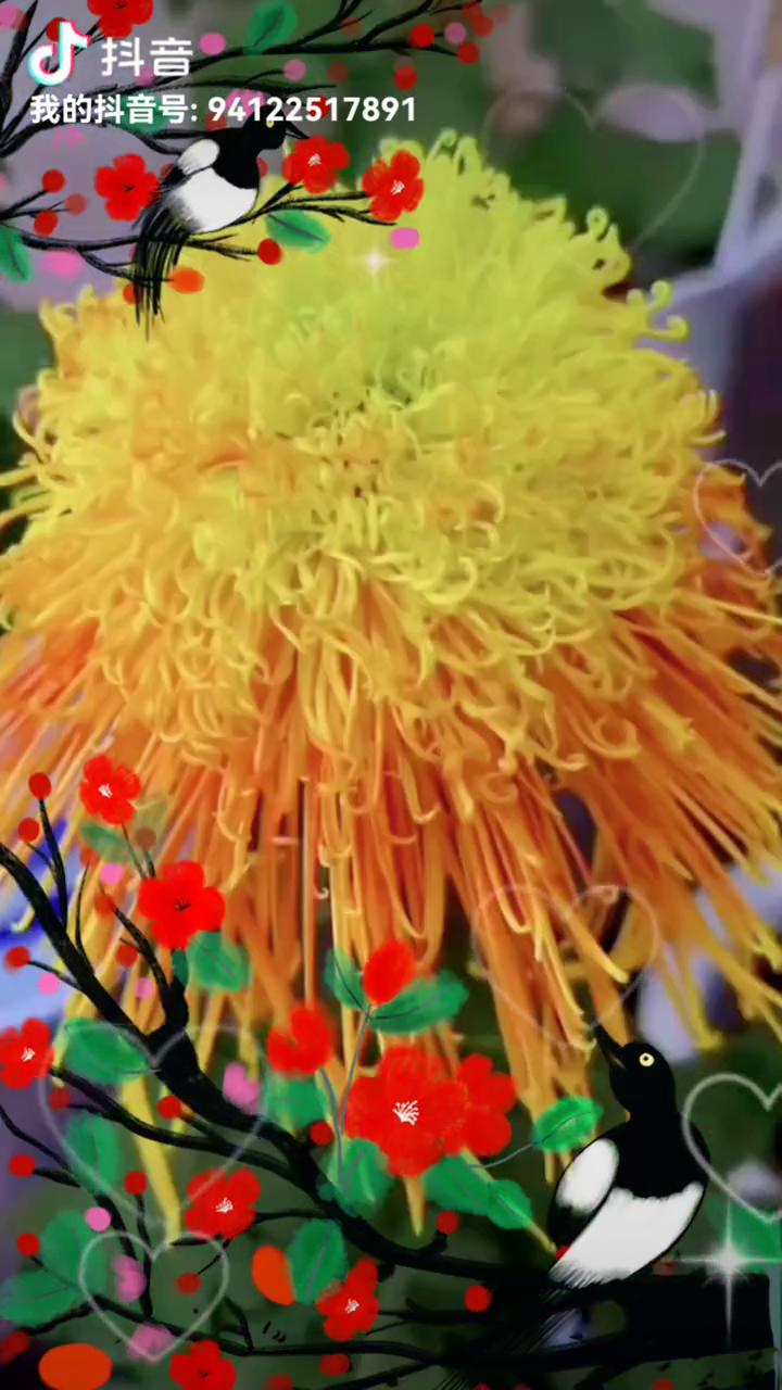 夏天走了，菊花开了，秋风送来点点的忧虑。阵阵秋雨敲打着玻璃，片片的落叶片片愁绪。