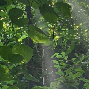 很喜欢那种通过一点点的努力，然后感受到自己正在慢慢进步的感觉。就像爬山一样，随着