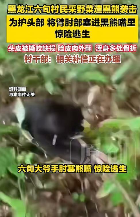 一位年过花甲的普通村民，在深山遭遇黑熊袭击时，靠着超乎常人的冷静硬生生从熊口捡回