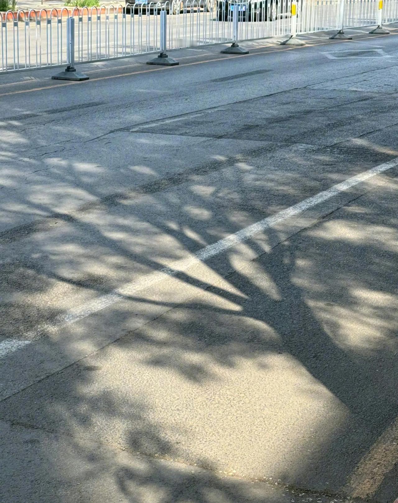 放假了，可以压马路，端午安康！