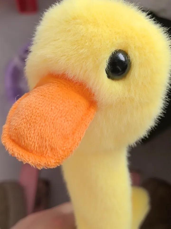 看淡人生,善待自己,你做到了吗?说实话，这事儿我还在“边做边学”的循环里反复横跳