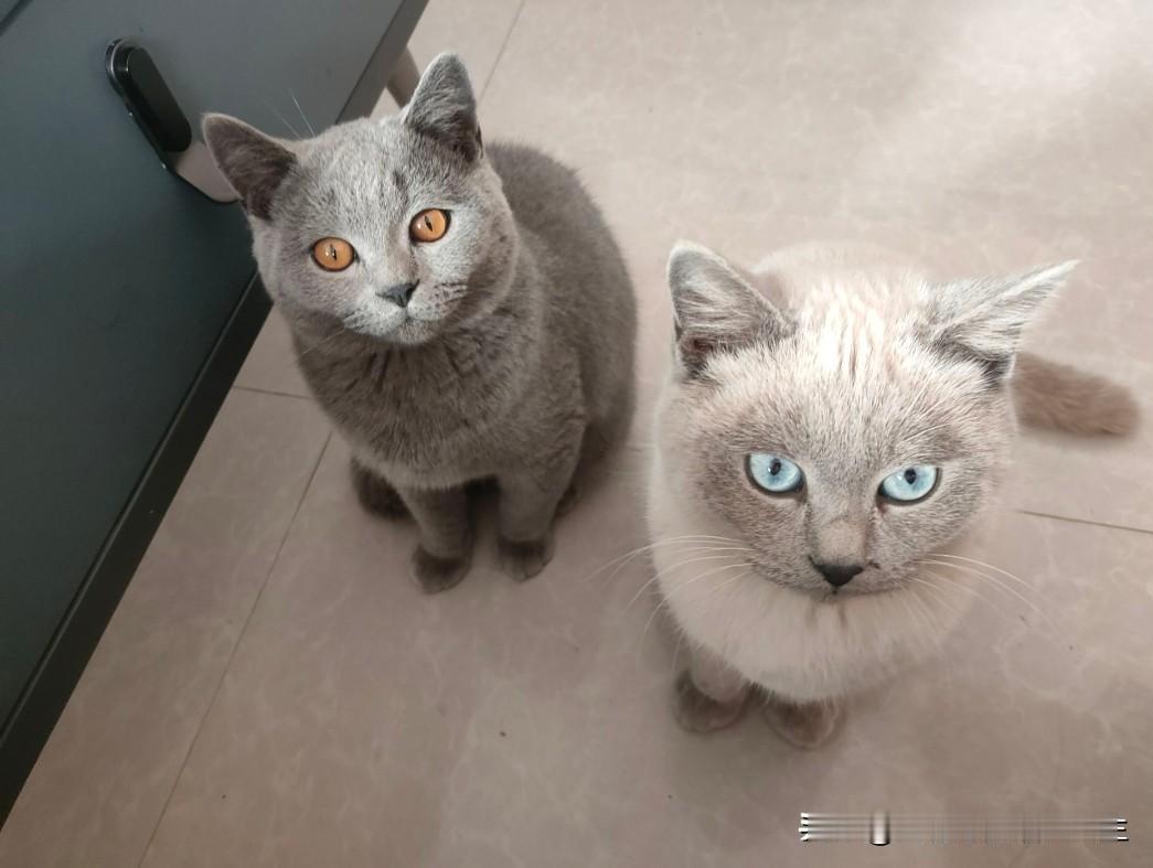 季节更替，
慢慢理解世界，
慢慢更新自己。