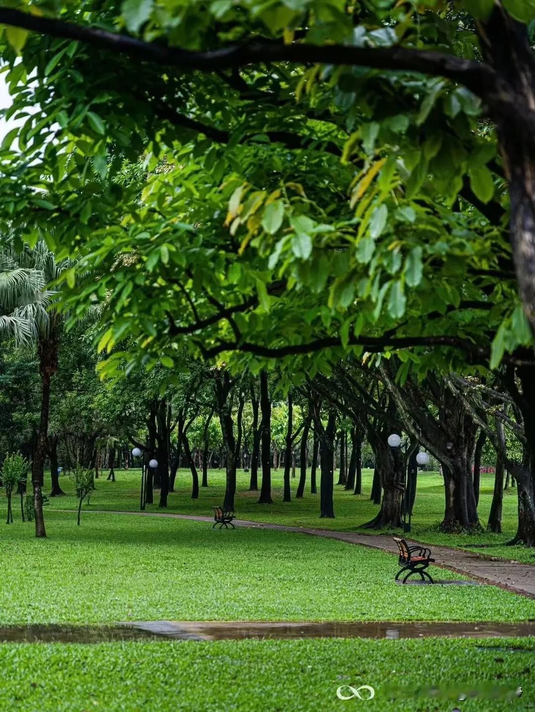我一位朋友说：深圳是世界上最美丽的城市之一，身在其中，已足够幸运。
深以为然！看