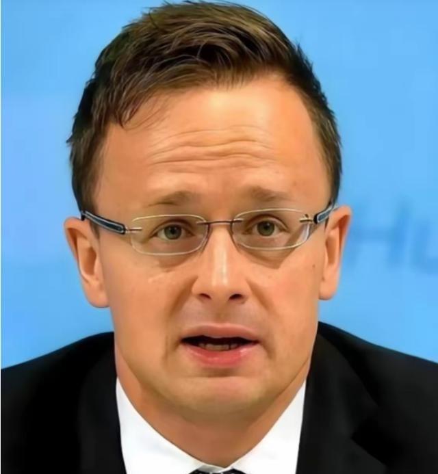 全欧洲估计都得被匈牙利外长这句话给噎一下，他说：“跟中国合作，不是可选项，是欧洲