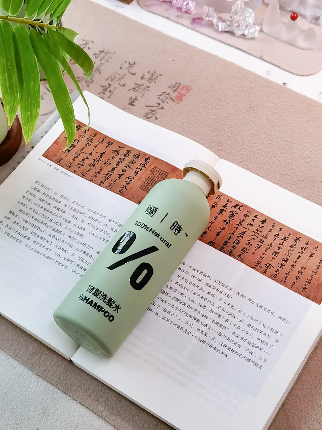 非广子，一个熬夜书法人的养发秘诀！