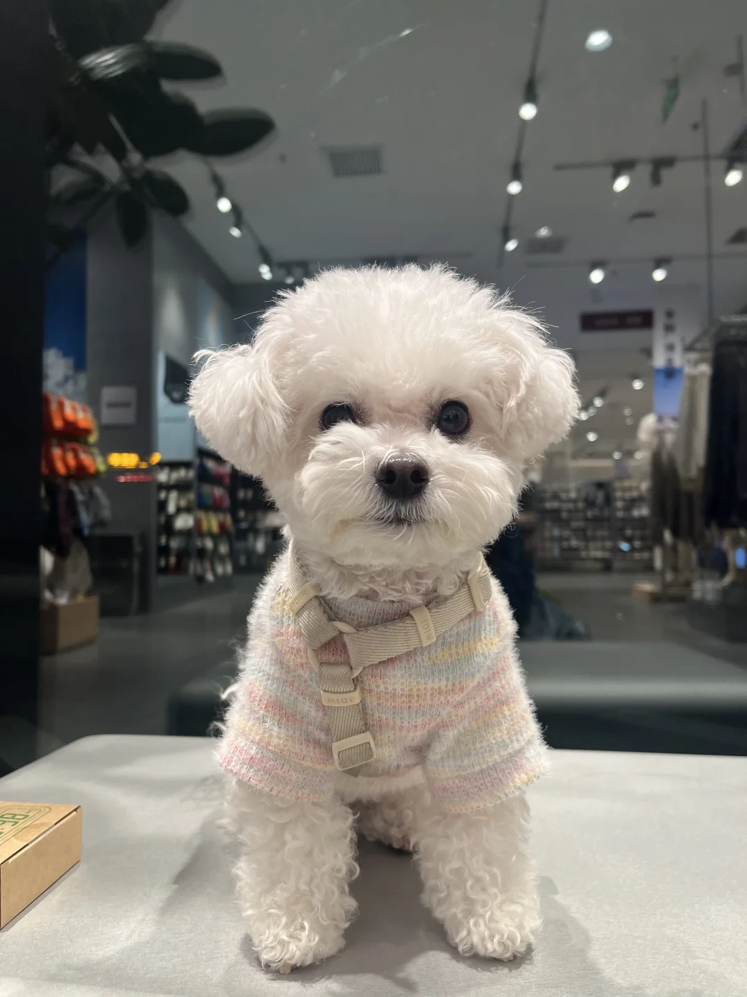 📷麻麻照好了嘛