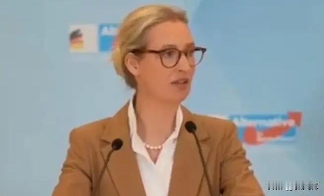 【德国选择党领袖：待我们掌政，将让泽连斯基为炸掉我们的输气管道付出代价】

1月