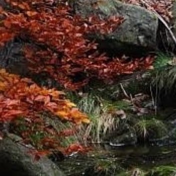 养养 生活最好的状态，是接纳无常，随遇而安。世事变幻本就是常态，没有人能一辈子顺