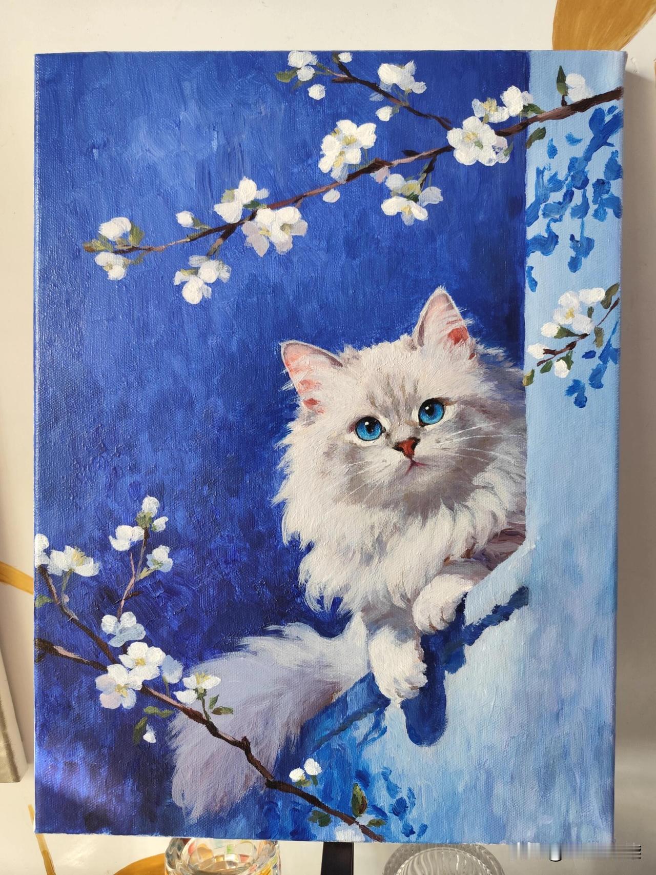 你问我答这只猫在蓝色背景上真可爱！