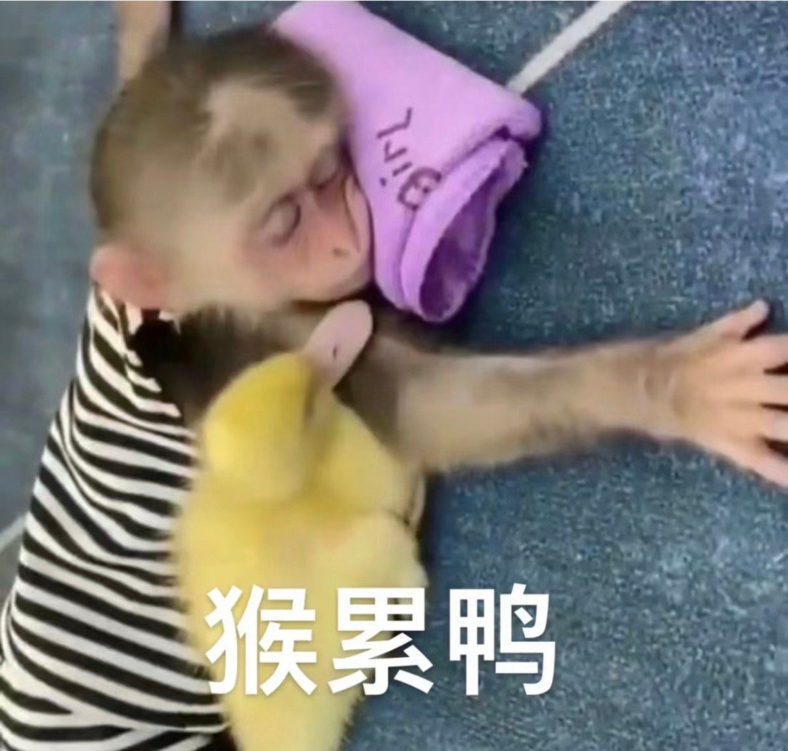 #淘宝卖仔仔##卖仔仔# 一步到位📣25个人头只5510仔，现点打包52.3（