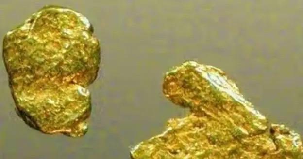 1980年，沈阳妇女黄淑珍带着3斤黄金来银行兑换。
 
工作人员一眼就看出来她拿