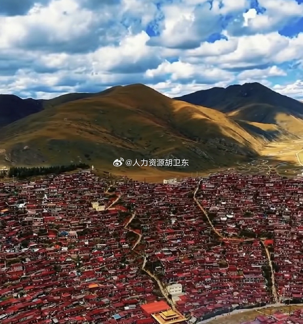 分享图片 