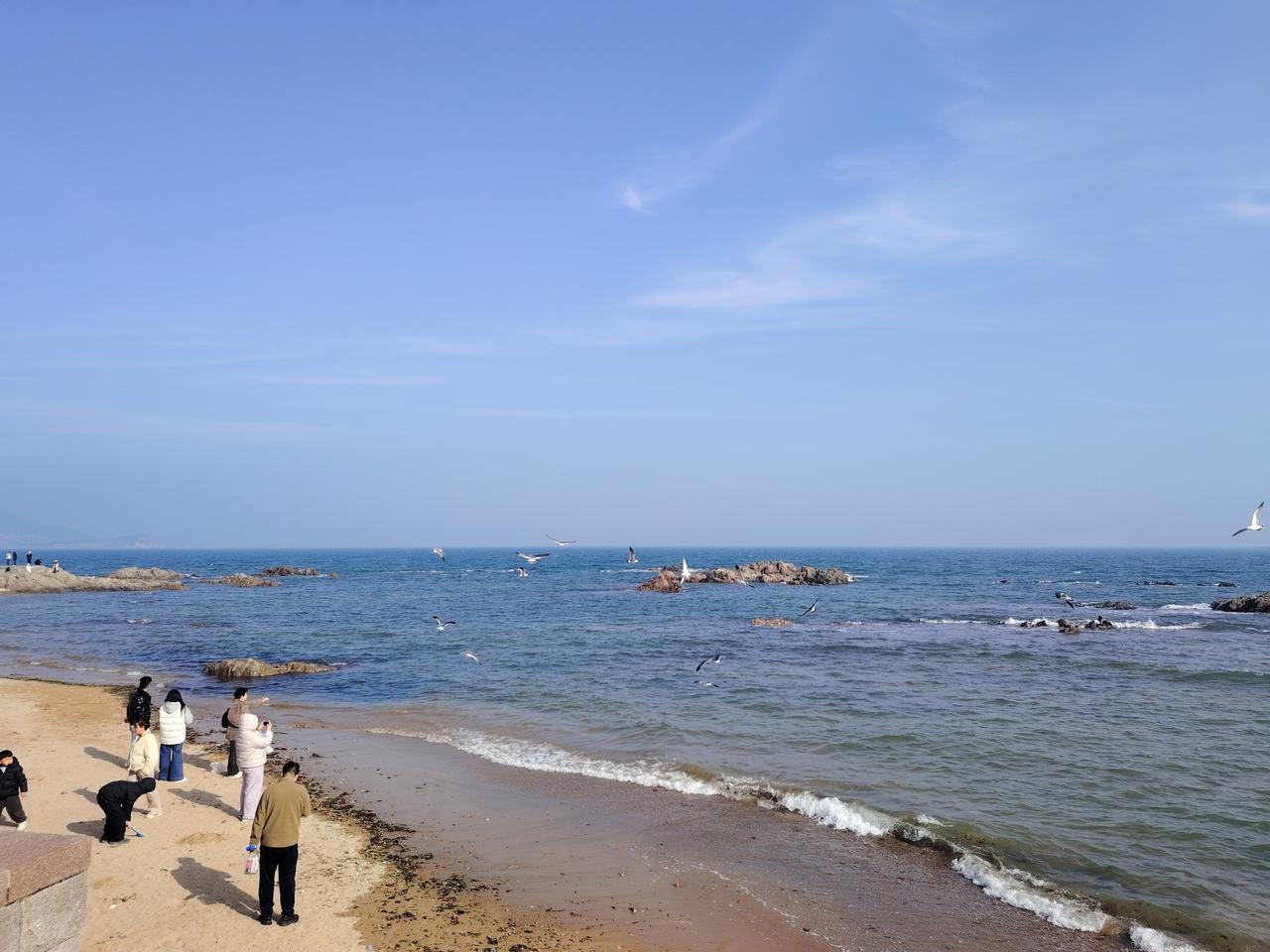 海鸥来青岛雕塑园，不想挤在栈桥喂海鸥，不妨来雕塑园过过瘾。