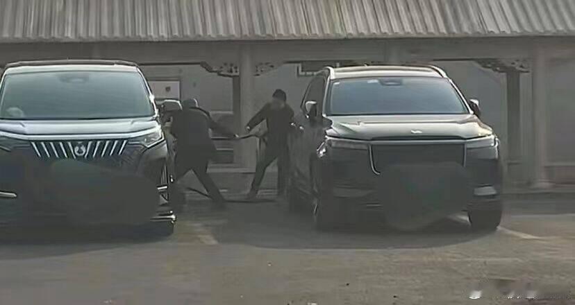 今日的快乐源泉：理想车主和比亚迪车主在线下约架，打起来了！盲猜是因为比亚迪腾势D