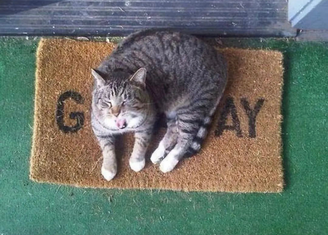 - ​​​