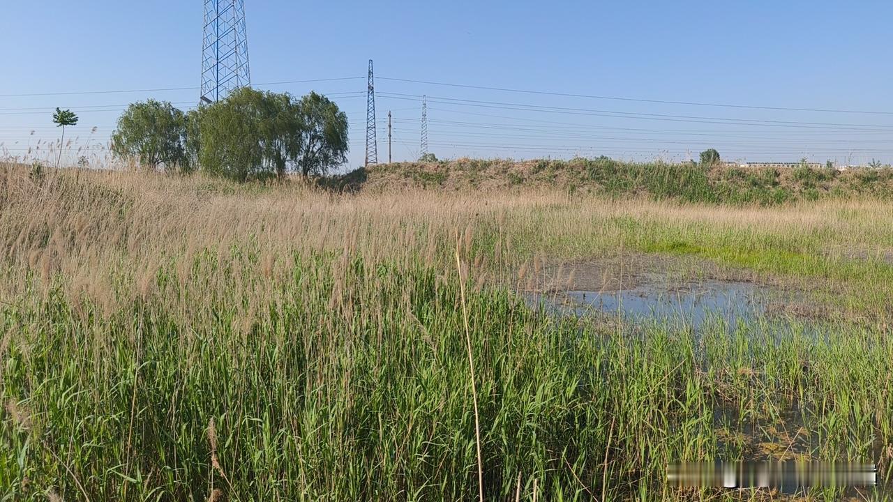 琉璃河古桥湿地公园内部环境太乱了
   今天我去琉璃河古桥湿地公园内部转了转，我
