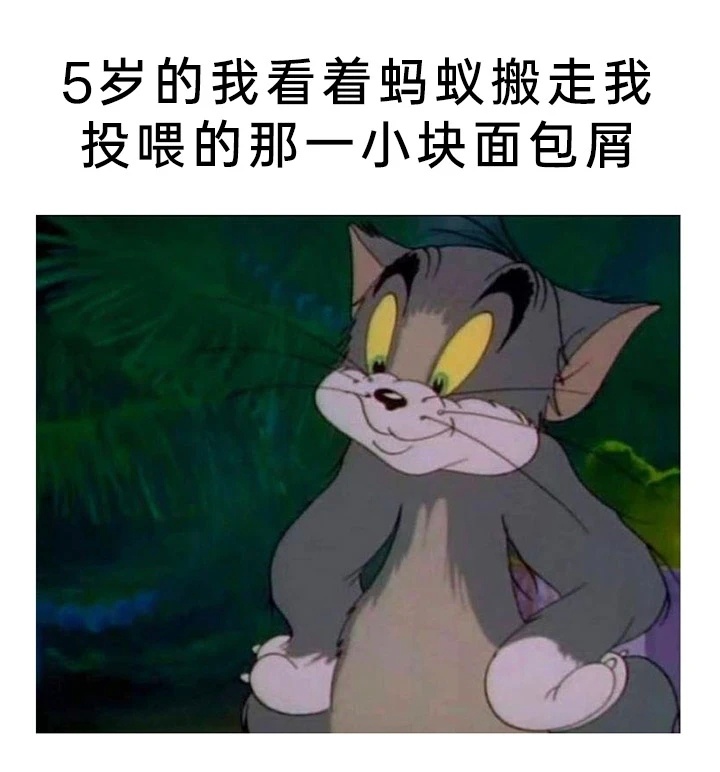 现在也看 ​​​