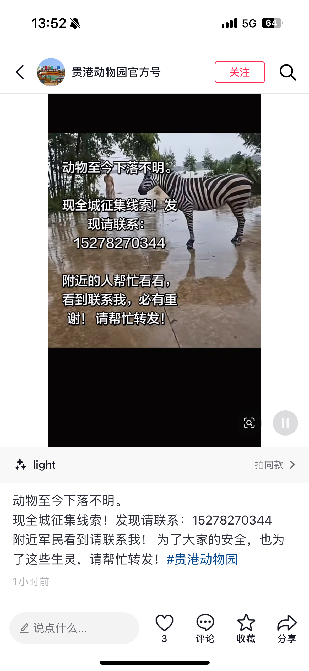 广西一动物园多只动物下落不明确实没招，那些猛兽如果放出来还活着那又是另一场灾难了