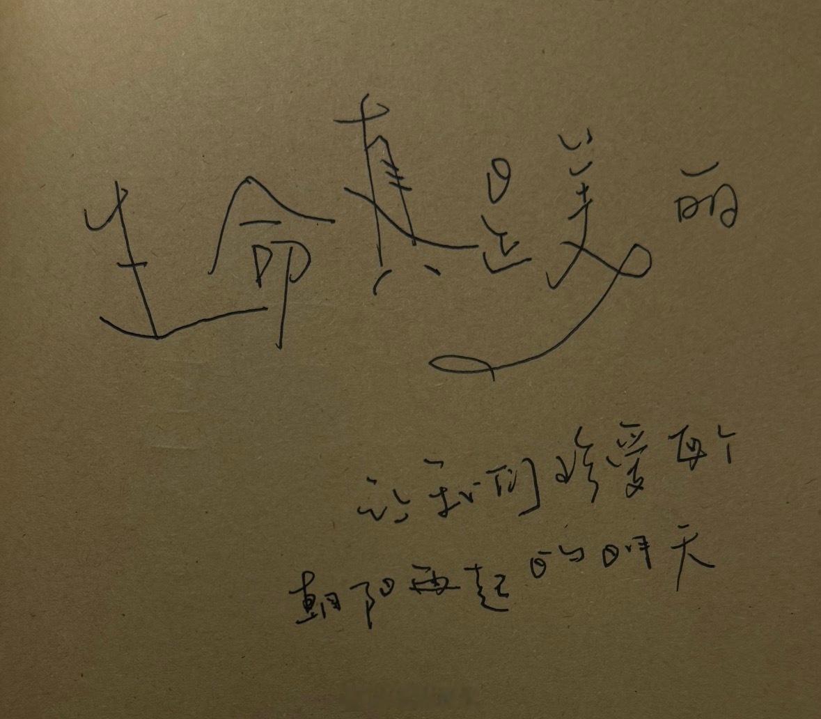 【揽揽微光，逢逢小好。】释义：收拢身边细碎温柔的微光，邂逅生活里一点一滴的小小美