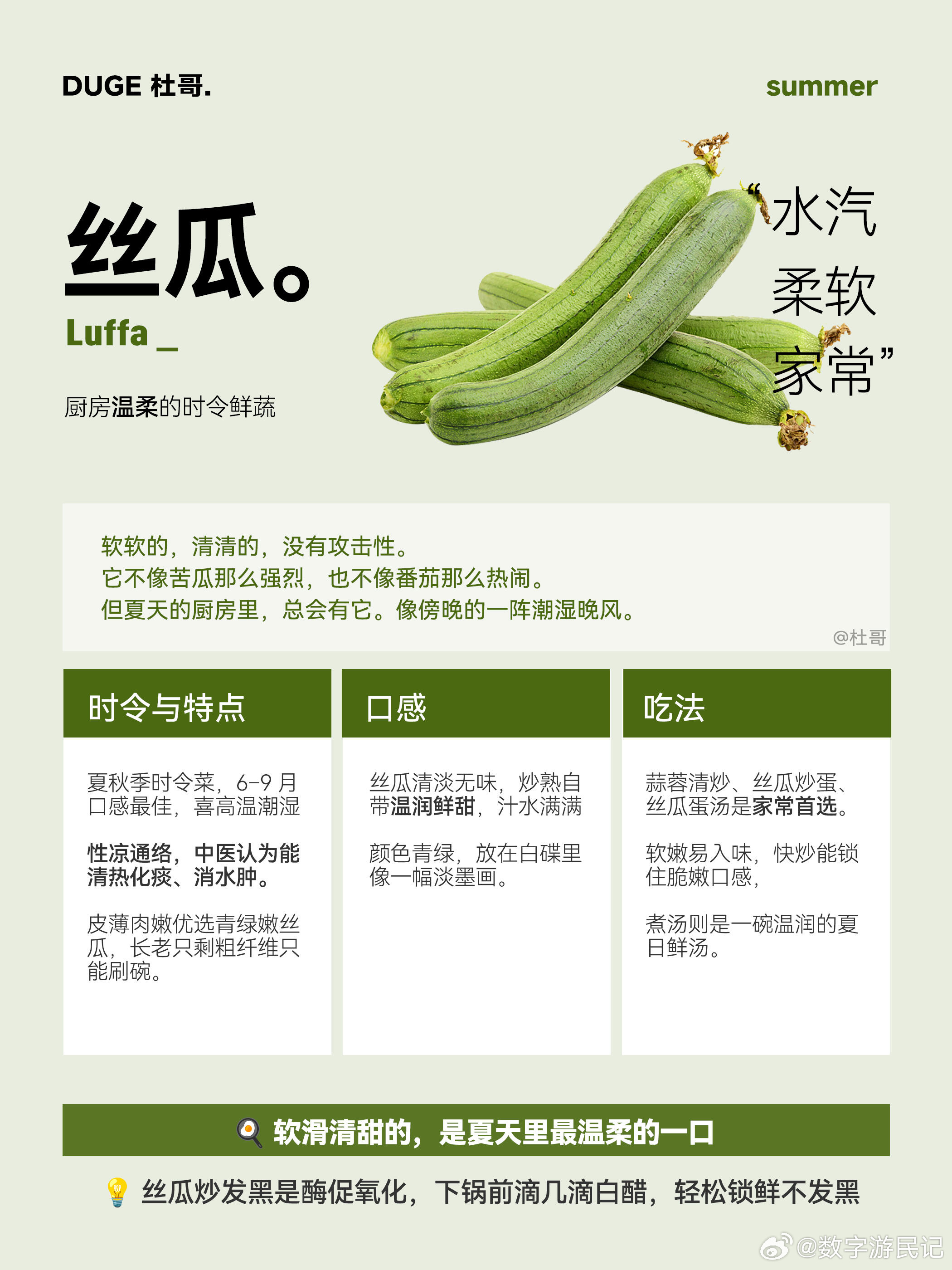 天气一热没胃口｜6种时令清爽蔬菜，巨解腻三伏天闷热没食欲，重油重盐真的吃不下？夏