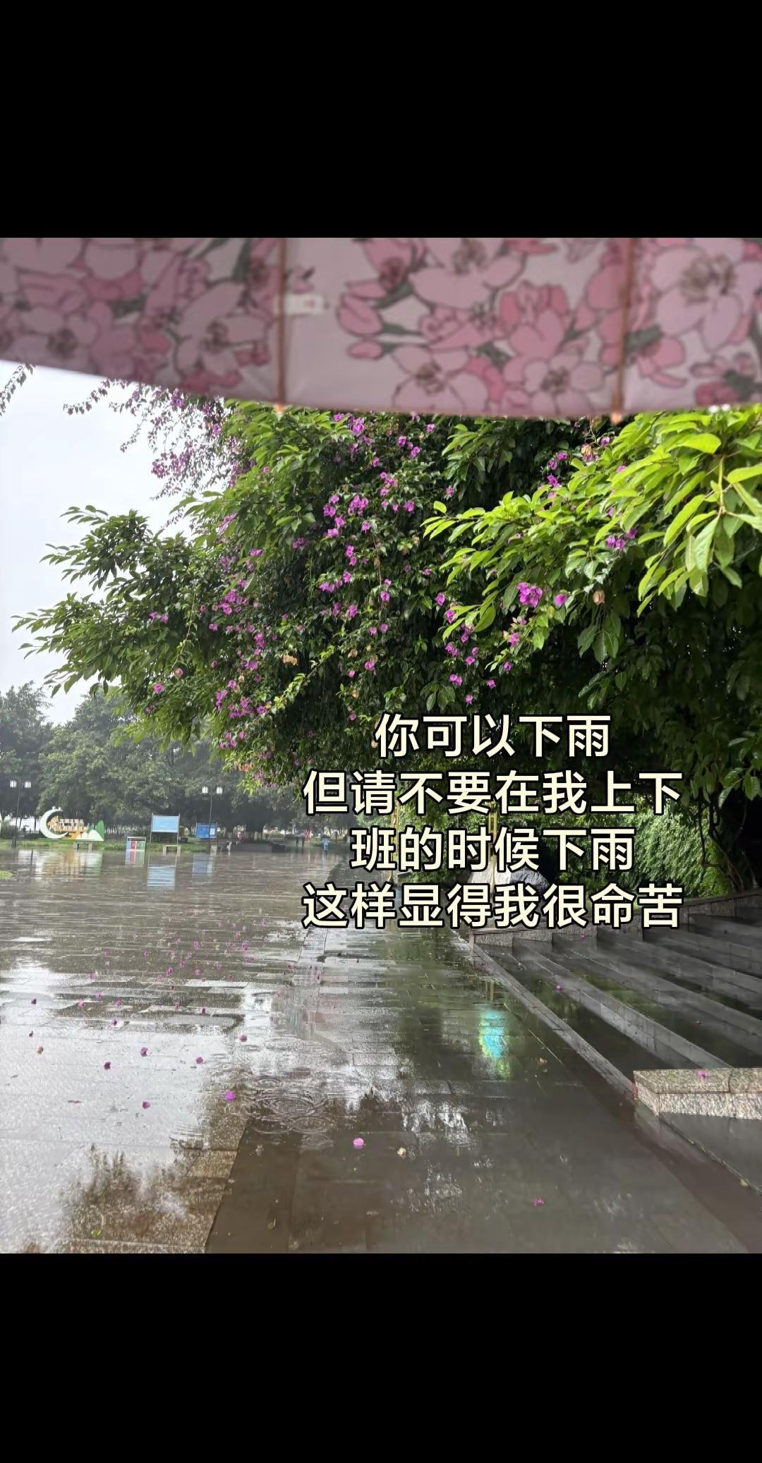 四川，实在不行你立秋吧！天天下雨🌧️。这都几月份了穿两件衣服都冷🥶的发抖，到