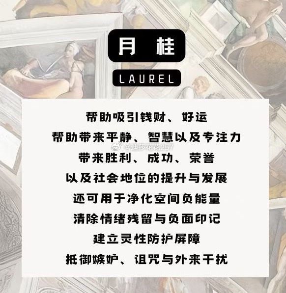 昨天的剧本我们又看了一遍！我发这个纯属娱乐！也是为了测试我们的模型！大家可以参考